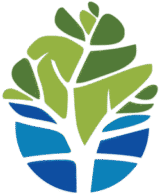 logo for favicon