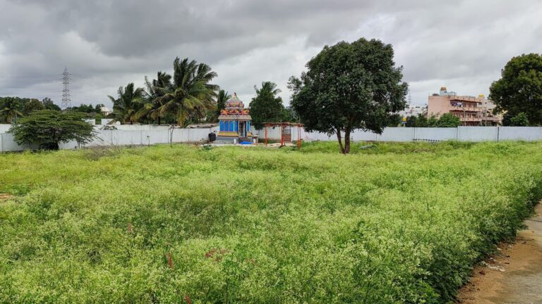 Our Projects img 20220716 100323