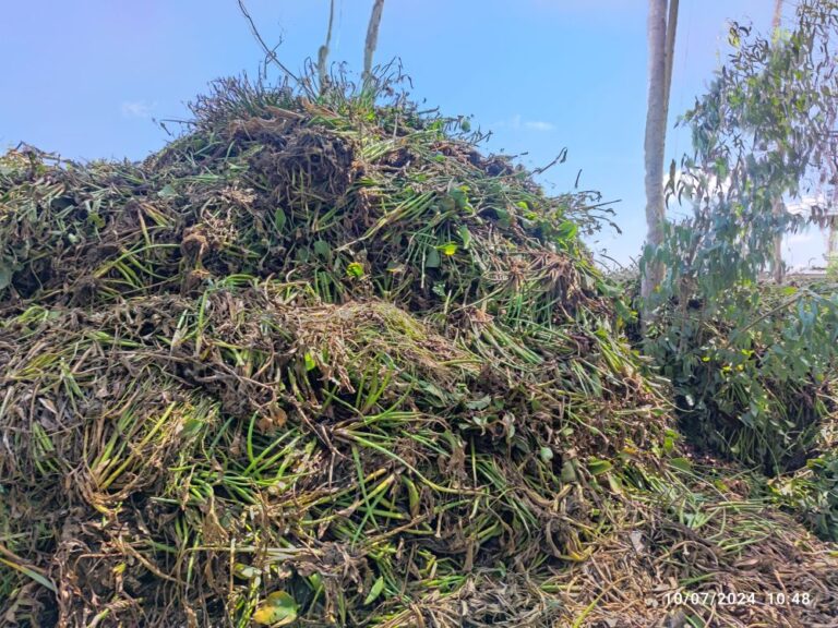 Our Projects img 20240710 104837