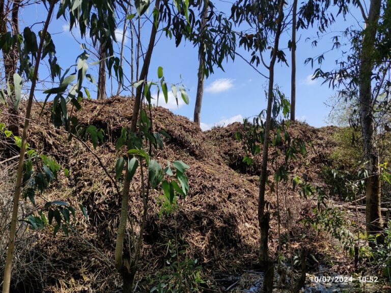 Our Projects img 20240710 105221