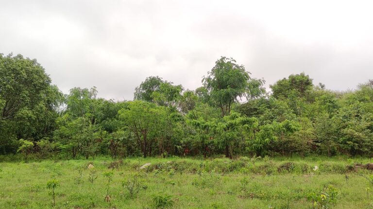 Our Projects img 20250519 062615