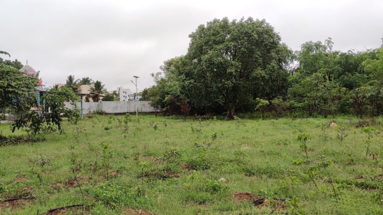 Our Projects img 20250519 062629