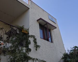 water-hyacinth img 20260130 155820