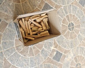 water-hyacinth img 20260130 160116