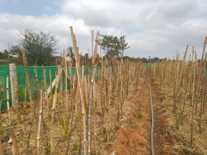 About 20210114 124808