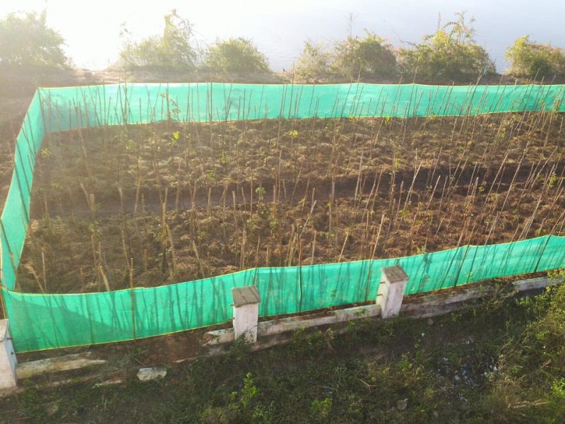 About img 20201121 wa0001