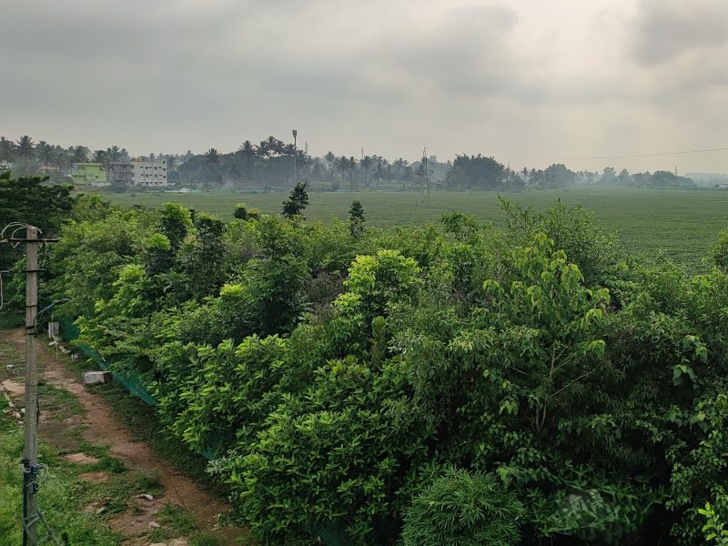 About img 20230603 072518